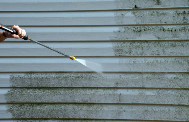 Best Residential Pressure Washing Services  in Indian Lake, TX