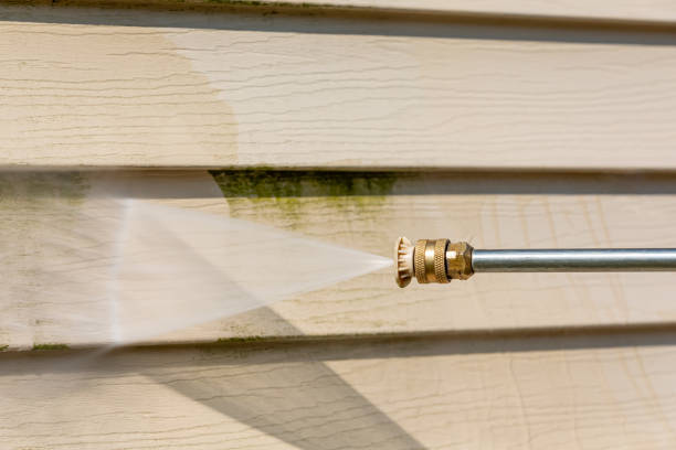 Best Local Pressure Washing Services  in Indian Lake, TX