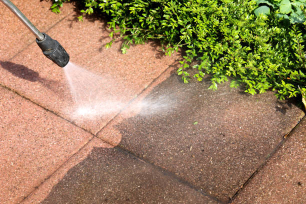 Best Affordable Pressure Washing  in Indian Lake, TX
